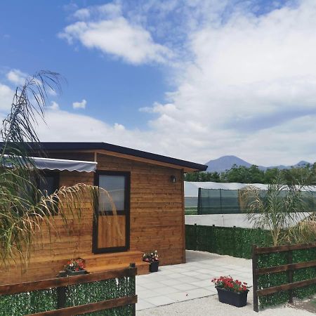 Vesuvius Chalet Relax Apartamento Boscoreale Exterior foto
