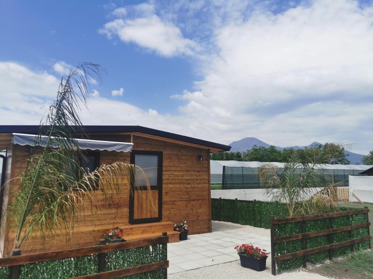 Vesuvius Chalet Relax Apartamento Boscoreale Exterior foto